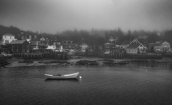 Dory in the fog